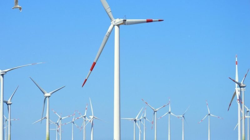 EDF solicita outorga para complexo eólico de 300 MW na Bahia