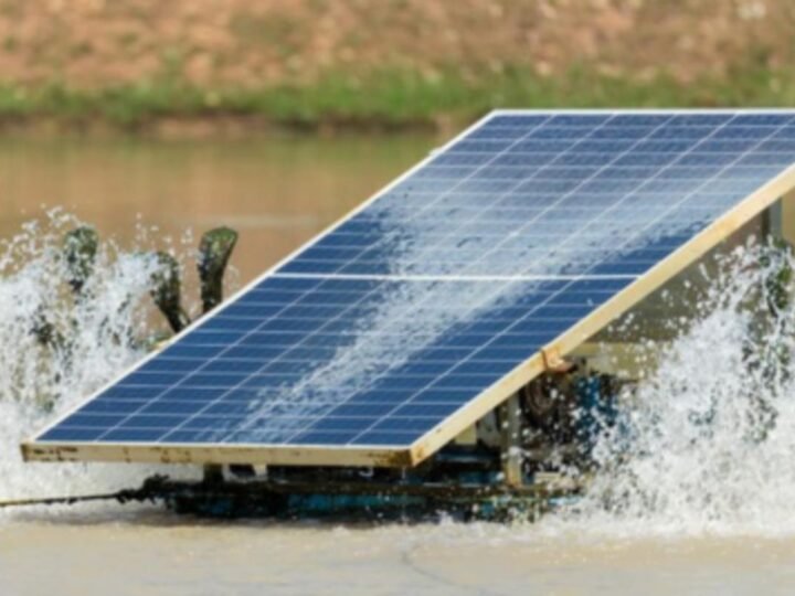 Energia Solar no Nordeste: Capacitação para o Futuro