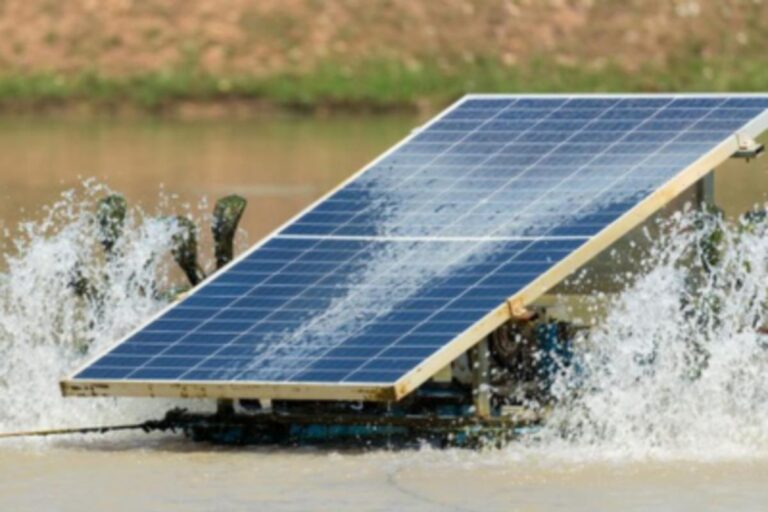 Energia Solar no Nordeste: Capacitação para o Futuro