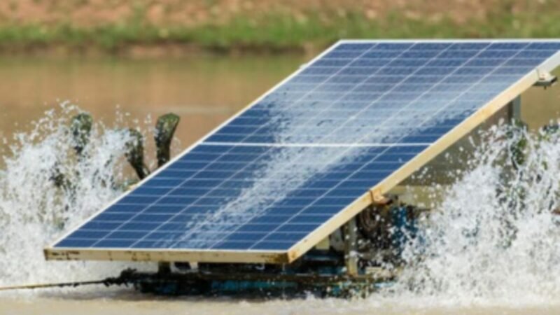 Energia Solar no Nordeste: Capacitação para o Futuro