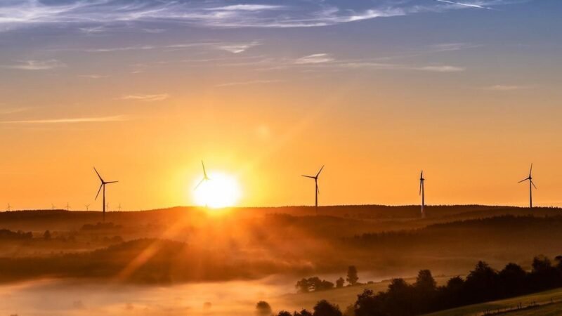 Falhas estruturais em usinas solares elevam custos antes da geração para integradores e investidores