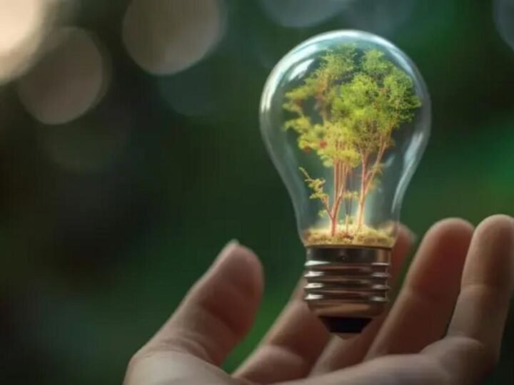 Gestão de Usinas Solares: o que realmente impacta a rentabilidade do seu negócio
