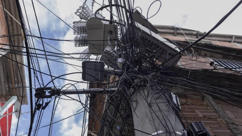Joisa Dutra destaca a importância da redução de perdas de energia elétrica