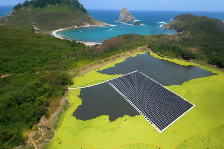 Neoenergia é listada em ranking de sustentabilidade da Kantar