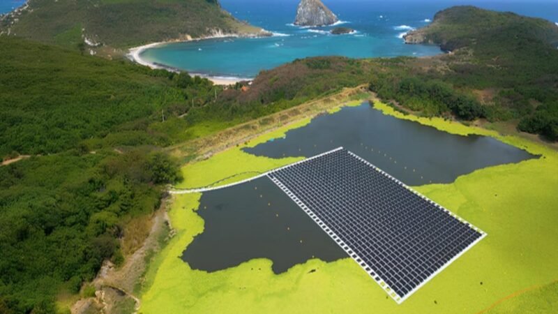 Neoenergia é listada em ranking de sustentabilidade da Kantar