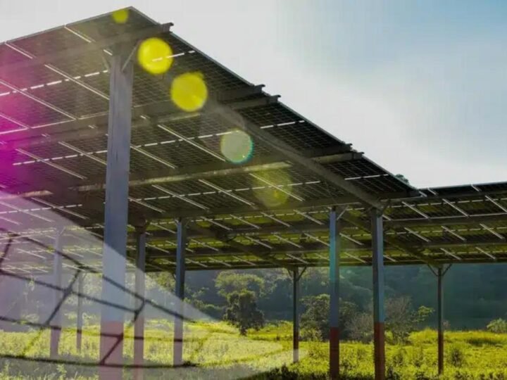 Parque solar em Goiás gera economia de R$ 300 mil e evita até 100 toneladas de CO2; em menos de um ano