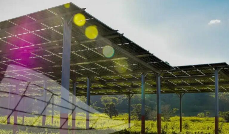 Por que a gestão de usinas define o sucesso de um projeto solar?