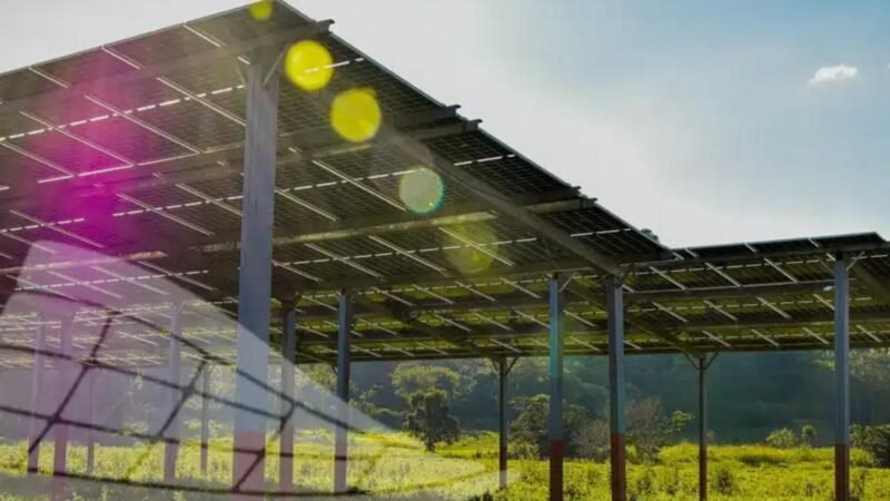 Parque solar em Goiás gera economia de R$ 300 mil e evita até 100 toneladas de CO2; em menos de um ano Parque solar em Goiás gera economia de R$ 300 mil e evita até 100 toneladas de CO2; em menos de um ano