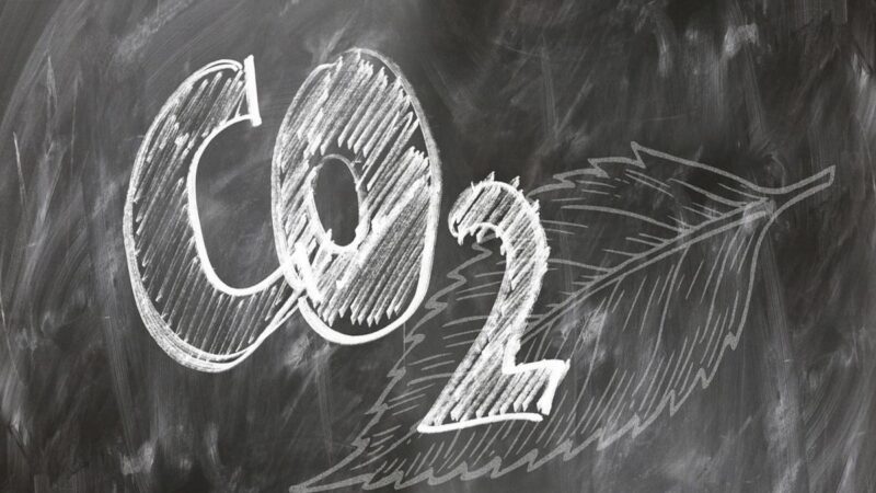 Greenline Carbonsat definirá metodologias para mercado regulado de carbono