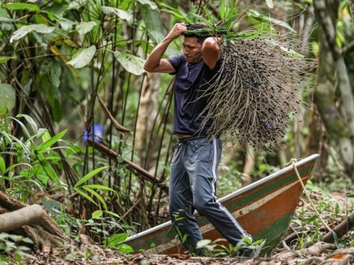 Produtores têm até 30 de junho para concorrer a apoio técnico em bioeconomia Produtores têm até 30 de junho para concorrer a apoio técnico em bioeconomia