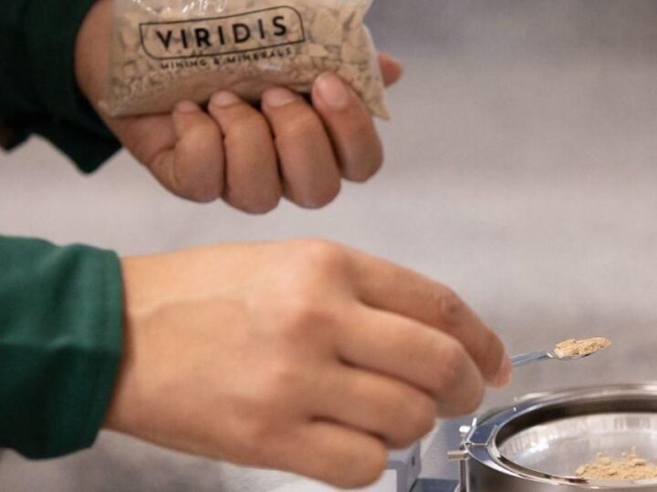 Viridis constrói infraestrutura de energia para projeto de terras raras no Brasil