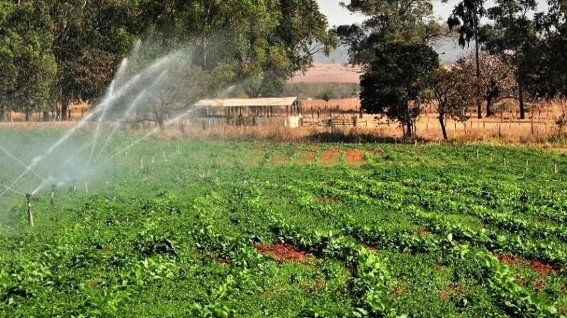 Argentina aposta US$ 1 bilhão em fábrica de ureia, visando o mercado brasileiro