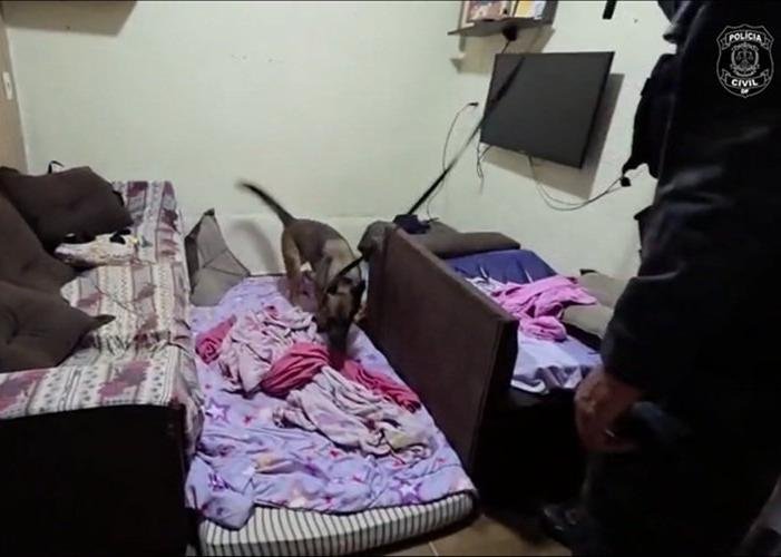 Batalha contra a venda clandestina de anabolizantes no DF e no PR