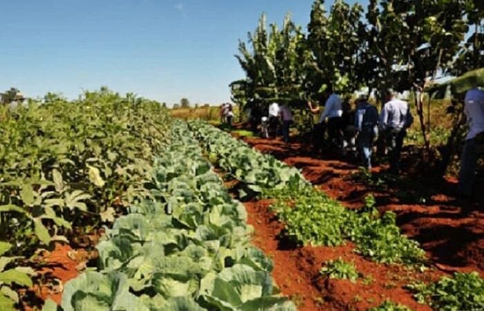 Crédito rural no Brasil se transforma em ferramenta estratégica para aquisição de terras