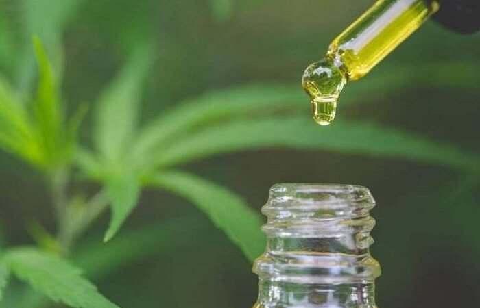 Crescendo verde: farmacêutica traz cannabis medicinal para farmácias
