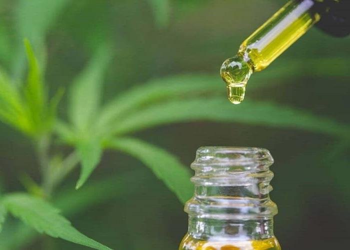 Crescendo verde: farmacêutica traz cannabis medicinal para farmácias