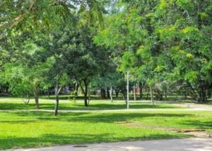 Desigualdade na distribuição de energia leva a impactos sociais no DF
