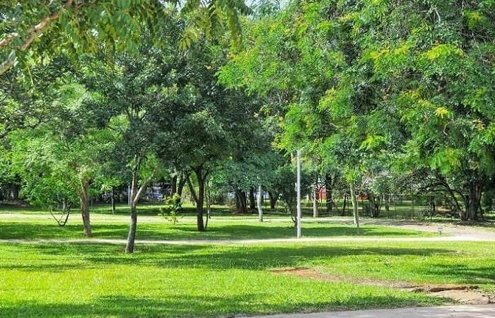Desigualdade na distribuição de energia leva a impactos sociais no DF