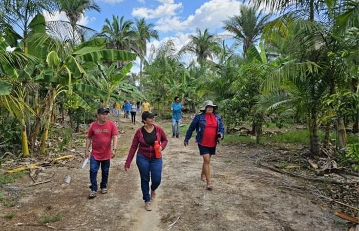 Edital de 3,3 milhões impulsiona projetos na Amazônia e Cerrado