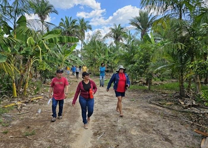Edital de 3,3 milhões impulsiona projetos na Amazônia e Cerrado Edital de 3,3 milhões impulsiona projetos na Amazônia e Cerrado