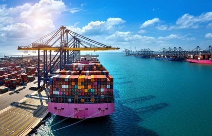 Plataforma facilita exportação para os EUA, superando obstáculos
