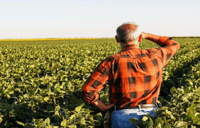 Revolta no Volume: Agroindústria Registra Razoável Declínio de Produção
