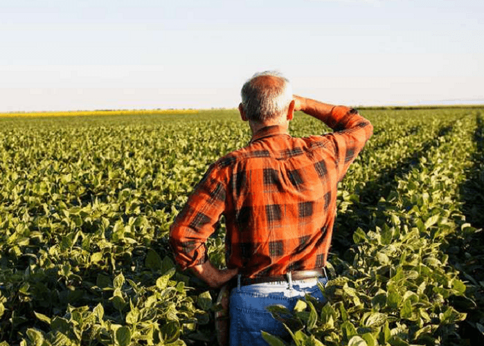 Revolta no Volume: Agroindústria Registra Razoável Declínio de Produção