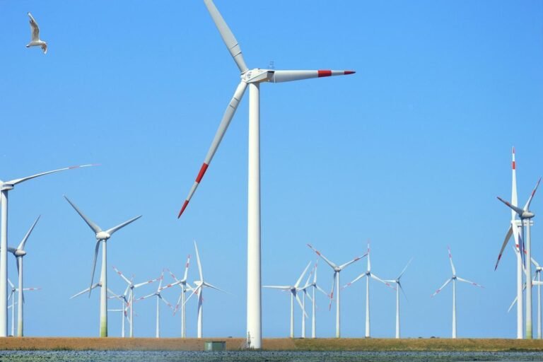 Agências reguladoras fortes são condição essencial para a transição energética