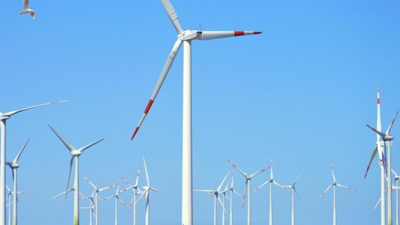 Agências reguladoras fortes são condição essencial para a transição energética