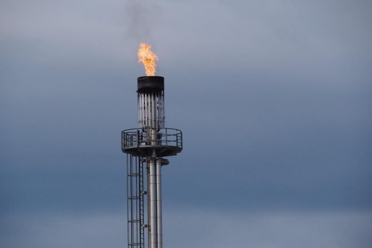 ANP discute Gas Release para ampliar concorrência e reduzir preços no mercado de gás