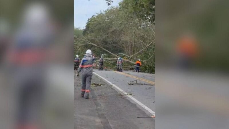 Apagão no Rio de Janeiro afeta 1,9 milhão de imóveis devido a ventos extremos