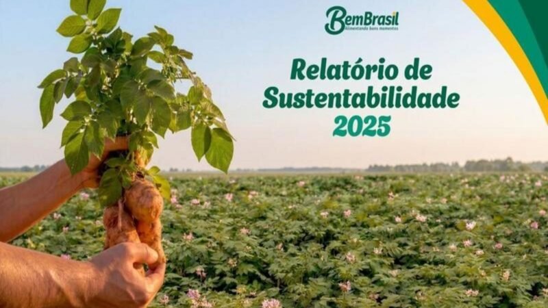 Bem Brasil reduz emissões diretas em 38,9%, avança em economia circular e registra faturamento de R$ 4,2 bilhões