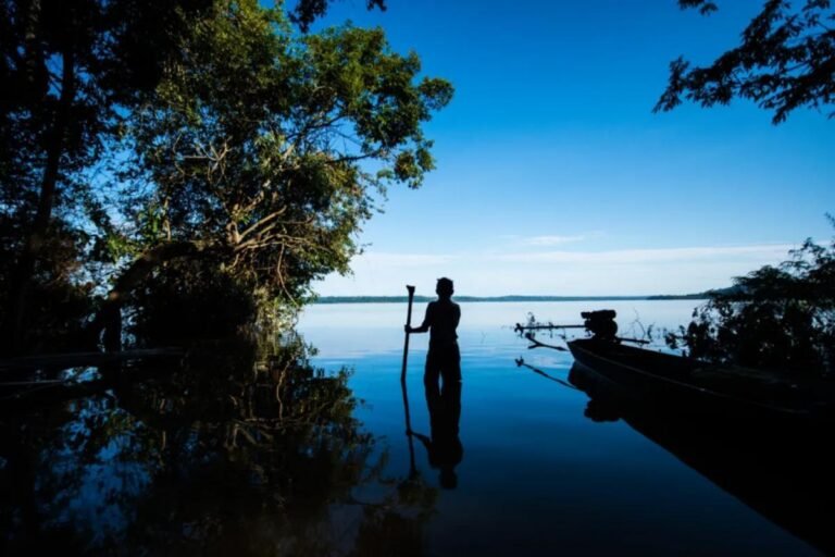 Busca por minerais estratégicos para alta tecnologia dispara e processos atingem 23 milhões de hectares na Amazônia Legal