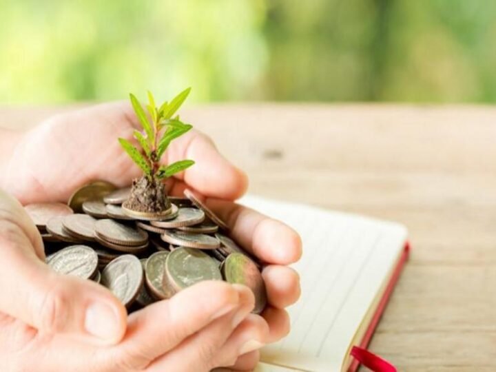 Curso gratuito da Conexsus e UFRGS abre 35 vagas para profissionais da sociobioeconomia Curso gratuito da Conexsus e UFRGS abre 35 vagas para profissionais da sociobioeconomia
