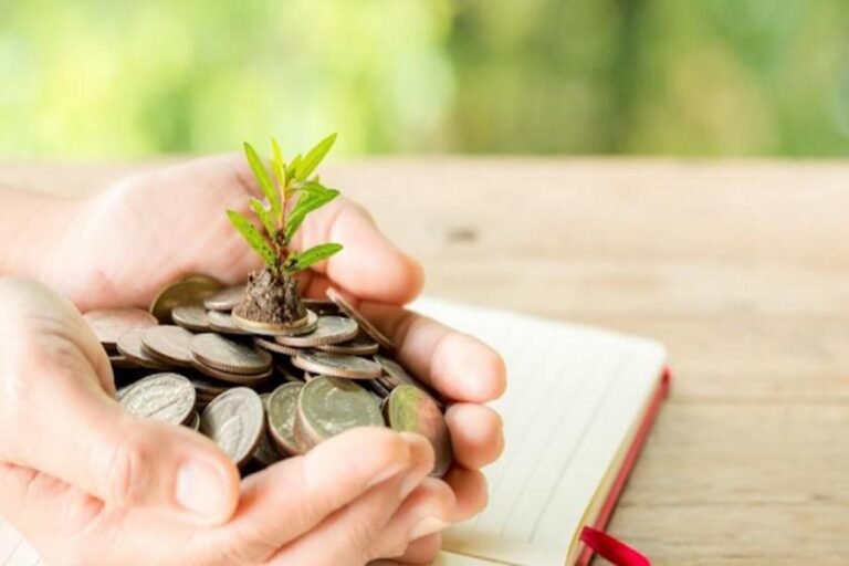 Curso gratuito da Conexsus e UFRGS abre 35 vagas para profissionais da sociobioeconomia