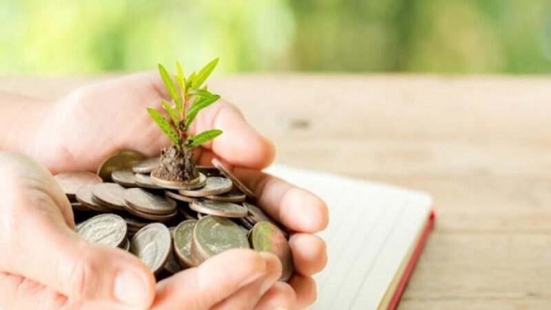 Curso gratuito da Conexsus e UFRGS abre 35 vagas para profissionais da sociobioeconomia