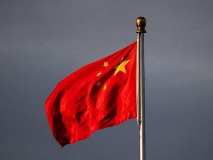 Economia Chinense se Consolidou como um Modelo Elétrico Dominante Economia Chinense se Consolidou como um Modelo Elétrico Dominante