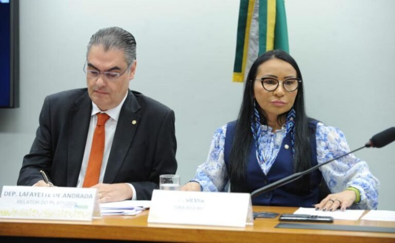 Especialistas pedem proibição de distribuidoras gerarem energia