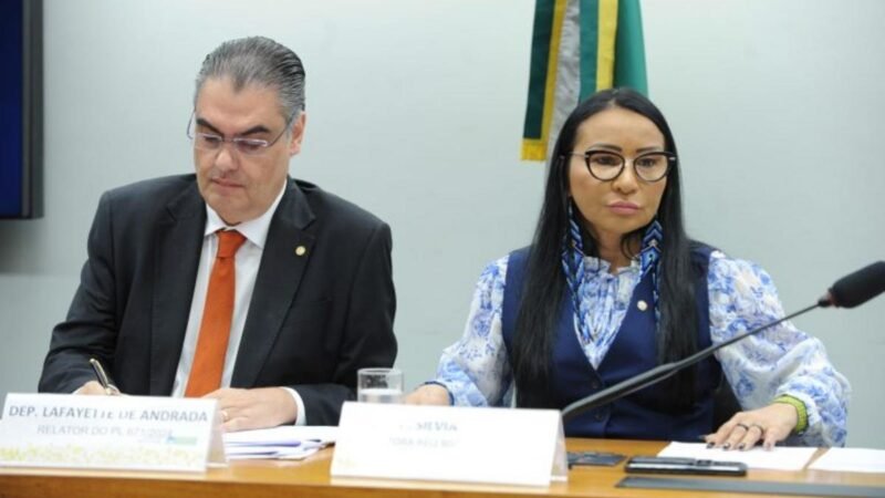 Especialistas pedem proibição de distribuidoras gerarem energia
