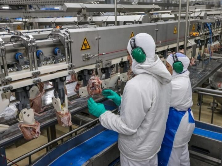 Lei aprova crédito de R bilhões para empresas impactadas por tarifas dos EUA