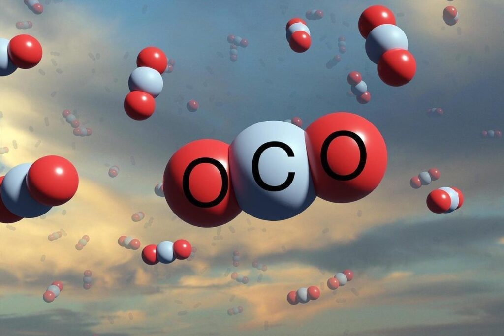 Ministry of Finance sets monitoring schedule for Brazil's new regulated carbon market – Photo: Reproduction / Freepik | Pixbay