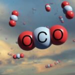 Ministry of Finance sets monitoring schedule for Brazil's new regulated carbon market – Photo: Reproduction / Freepik | Pixbay