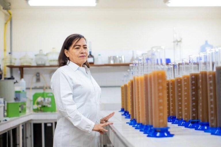 Pesquisadora do INPA é reconhecida pelo Prêmio Fundação Bunge por trajetória dedicada à agricultura familiar e indígena