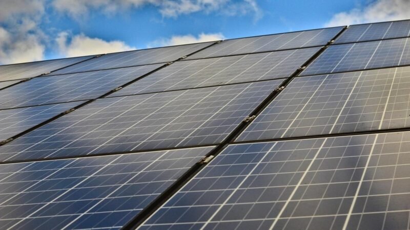 Tarifa dos EUA impacta setor sucroenergético e força ajuste no escoamento do Nordeste