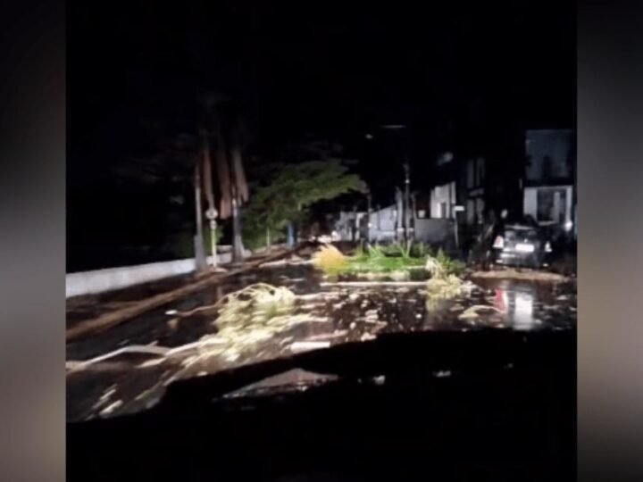 Temporal derruba 54 torres e mais de 250 postes, corta energia no interior de SP
