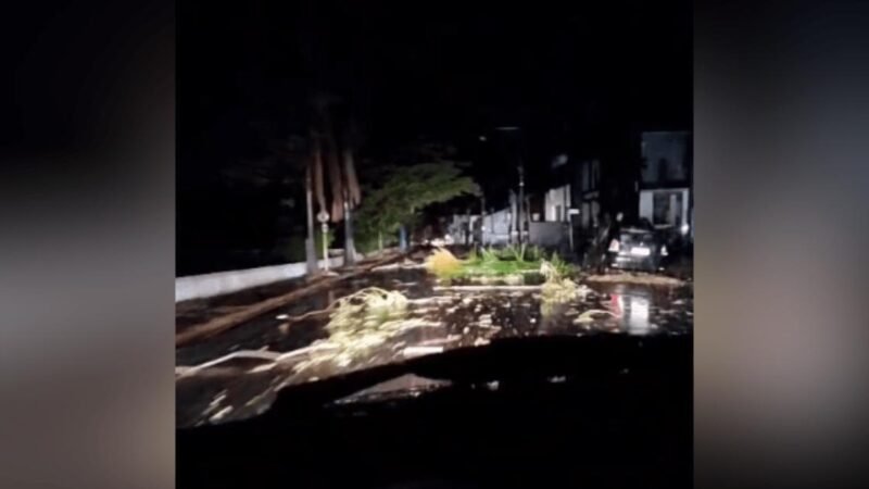 Temporal derruba 54 torres e mais de 250 postes, corta energia no interior de SP