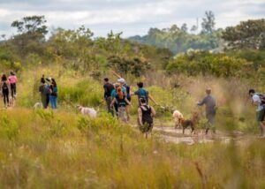 Brasília, capital dos pets, destaca o DF na causa animal