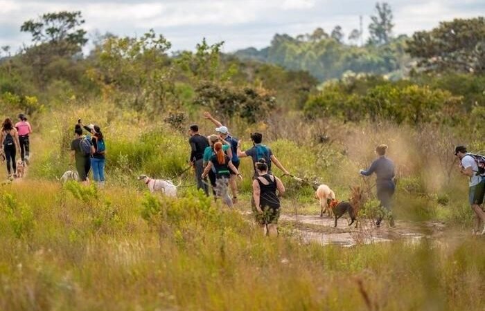 Brasília, capital dos pets, destaca o DF na causa animal