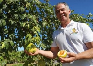 Dia de Campo em Brasília foca em novas técnicas para maracujá silvestre