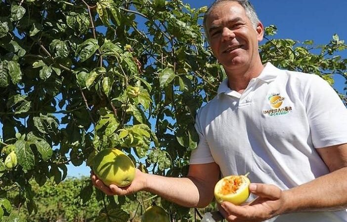 Dia de Campo em Brasília foca em novas técnicas para maracujá silvestre